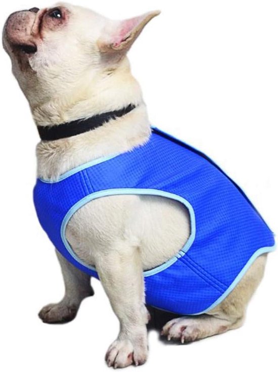 Honden Koelvest - Zomervest Hond - Hond Koel Houden - Verdampingstechnologie - Maat S - Blauw van Merkloos
