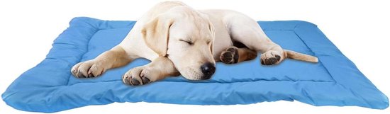 Hondenmat - Hondenbed Opvouwbaar - Reizen en Kamperen - Waterdicht en Wasbaar - 90x60x3 cm - Blauw van Merkloos