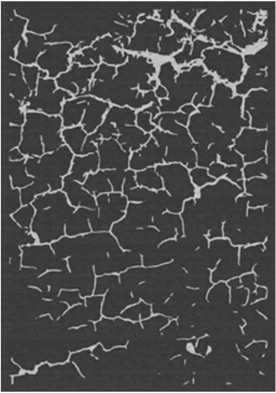 Human Comfort Avord - Buitenkleed - 240 x 380 cm - UV-bestendig - Sneldrogend - Schimmelbestendig van Human Comfort