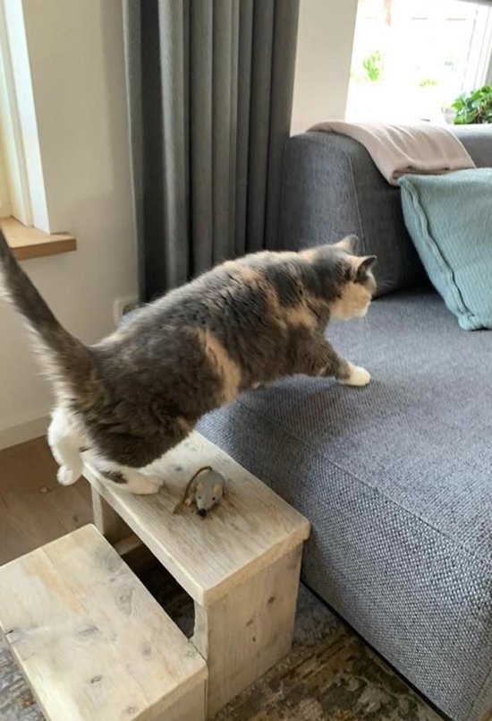 Kattentrap 2 treden ( H40XB45XD36cm) Ook voor hond splintervrij en geschuurd steigerhout. van Huisenthuis.nl