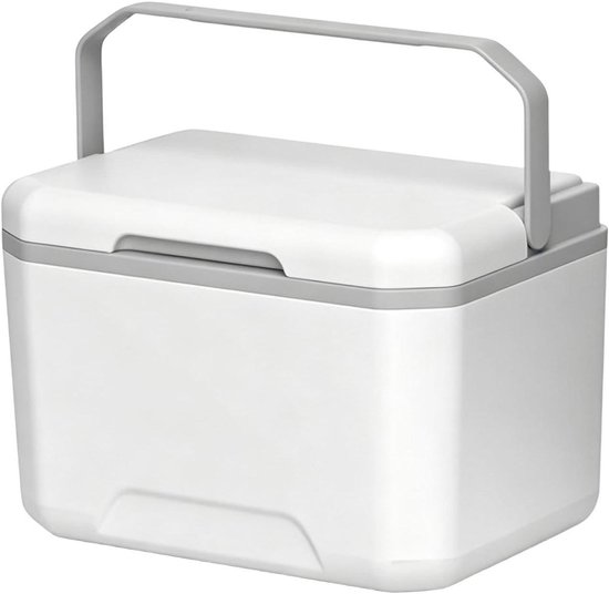 Kleine Koelbox - Draagbare Koeler - Buitenactiviteiten - Lekvrije Handgreep - 5 Liter - Niet gespecificeerd