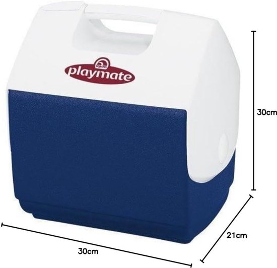 Kleine Koelbox voor EHBO en Sportblessures - Ijsbox Blauw 6 Liter van Merkloos