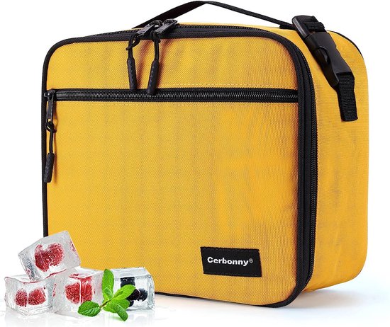 Kleine koeltas Kleine lunchtas voor kantoor school picknick strand, vriesbare lunchtas kleine geïsoleerde tas voor kinderen volwassenen, lekvrije school lunchbox vriezer lunchtassen, lunchbox met ijspakken van Klein