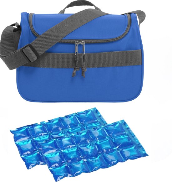 Kleine koeltas voor lunch blauw met 2 stuks flexibele koelelementen 10 liter van Klein