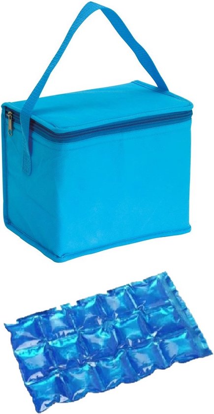 Kleine koeltas voor lunch lichtblauw met 2 stuks flexibele koelelementen 4.5 l van Klein