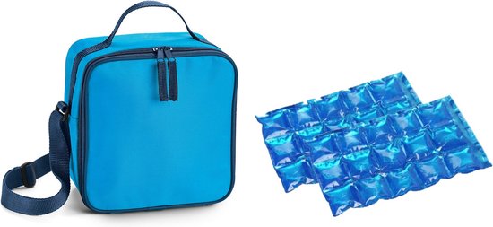 Kleine koeltas voor lunch lichtblauw met 2 stuks flexibele koelelementen 4.5 liter van Klein