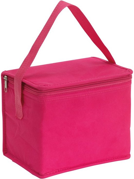 Kleine koeltas voor lunch - roze - 20 x 13 x 17 cm - 4.5 liter - Koeltassen - medicijnen/sixpack van Merkloos