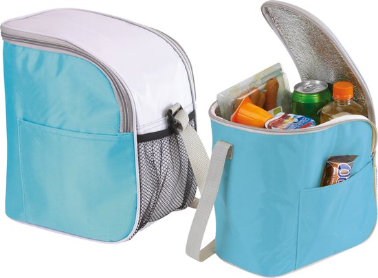Kleine koeltas/Lunch tas model Glaciaal - 2x - 23 x 16 x 26 cm - 1 vaks - ijsblauw/grijs - 9 Liter van Klein