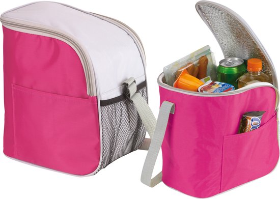 Kleine koeltas/Lunch tas model Glaciaal - 2x - 23 x 16 x 26 cm - 1 vaks - roze/grijs - 9 Liter van Klein
