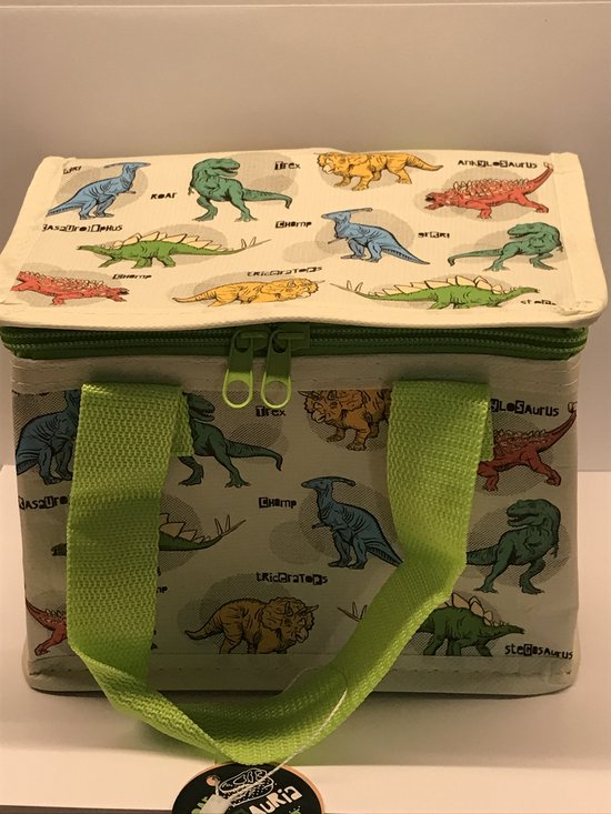 Kleine lunch/sixpack koeltas - Dinosaurus print - 21 x 16 cm - 4,7 L van Klein