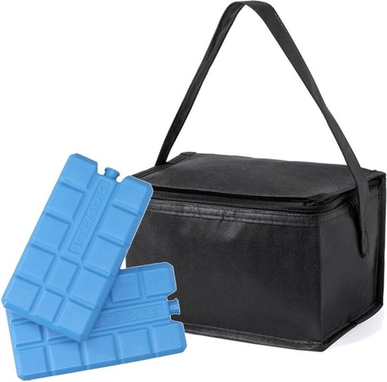Kleine mini koeltas zwart voor 6 blikjes inclusief 2 koelelementen - Compacte koelboxen/koeltassen en elementen van Klein