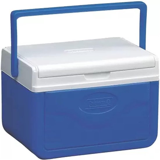 Kleine Thermobox voor Eten en Dranken - Koelbox tot 9 Uur Koeling met Handgreep van Klein