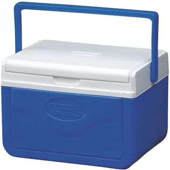 Kleine Thermobox voor Eten en Dranken - Koelcapaciteit tot 9 Uur - Perfect voor Buitenactiviteiten van Virklyee