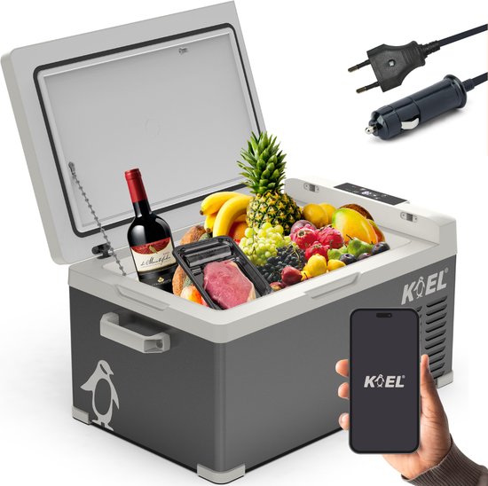 KOEL Crate 25 - Compressor Koelbox Elektrisch 12V en 230 Volt voor Auto - Elektrische Frigobox - Coolbox - 25 Liter van Merkloos