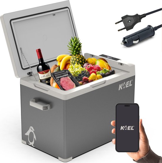 KOEL Crate 40 - Compressor Koelbox Elektrisch 12 en 230 Volt voor Auto - Elektrische Frigobox - Coolbox - 40 Liter van Merkloos