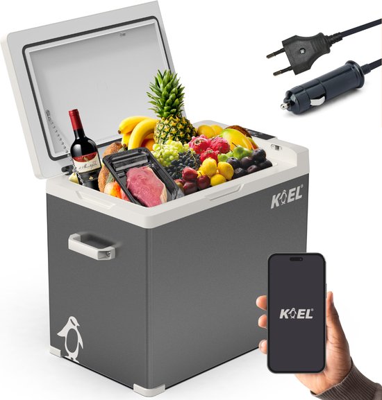 KOEL Crate 50 - Compressor Koelbox Elektrisch 12V en 230 Volt voor Auto - Elektrische Frigobox - Coolbox - 50 Liter van Merkloos