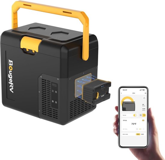 Koelbox 12V 230V - Draagbare en energiezuinige oplossing voor onderweg en buiten