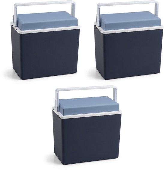 Koelbox - 3x - blauw - klein formaat - 10 liter - 30,5 cm - koelboxen van Merkloos