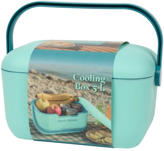 Koelbox 5L Compact Lichtgewicht voor Strand Camping Picknick 30x21x17,5cm