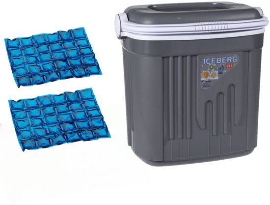 Koelbox kunststof - grijs - 20 liter - 39 x 28 x 38 cm - Inclusief 2x koelelementen van Merkloos