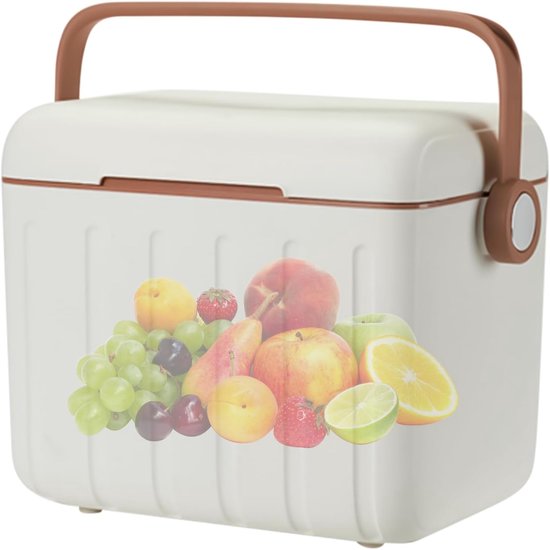 Koelbox met accu's - Thermobox draagbaar - Outdoor activiteiten - Geavanceerde hittebescherming - 6 liter - Wit