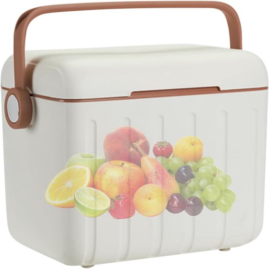 Koelbox met Accu's - Thermobox Draagbaar - Reizen en Dagelijks - Geavanceerde Hittebescherming - 6 Liter - Wit