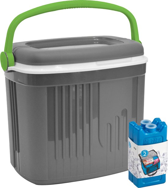 Koelbox met koelelementen - 20 liter - kunststof - grijs - 39 x 28 x 39 cm van Bo-Camp