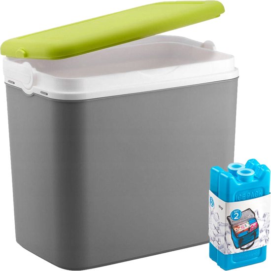 Koelbox met koelelementen - 24 liter - kunststof - grijs - 36 x 27 x 40 cm van KOEL