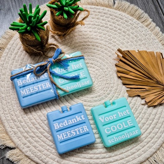 Koelelement Blauw – Bedankje Meester – Koelelement Lunchbox – Herbruikbaar Koelelement – Bedankt voor het Coole Schooljaar - Einde schooljaar van Merkloos