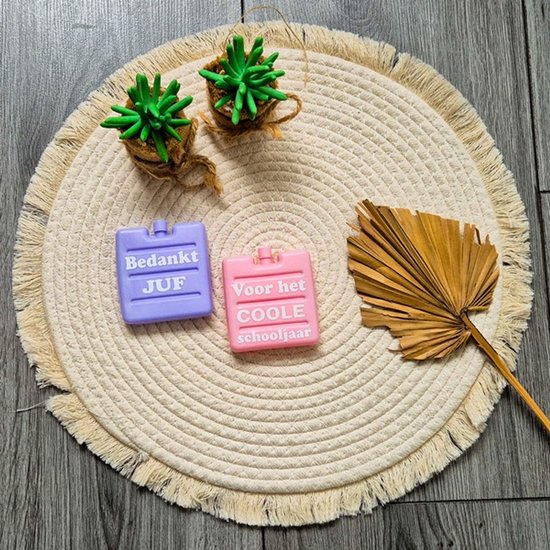 Koelelement roze – Bedankje Juf – Koelelement lunchbox – Herbruikbaar koelelement – Bedankt voor het coole schooljaar - Einde schooljaar van Merkloos