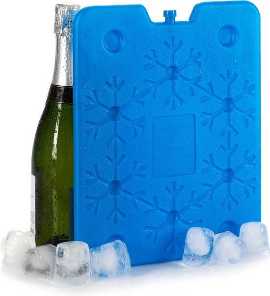 Koelelementen plat - 26 x 2 x 32 cm - blauw - 800 gram - Koelblokken/koelelementen voor koeltas/koelbox van KOEL