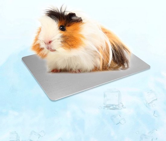 Koelmat voor Kleine Dieren - Ideaal voor Hamsters, Konijnen en Cavia's - Comfortabele Slaapmat voor Huisdieren (12 * 8cm/4.7 * 3.1in)