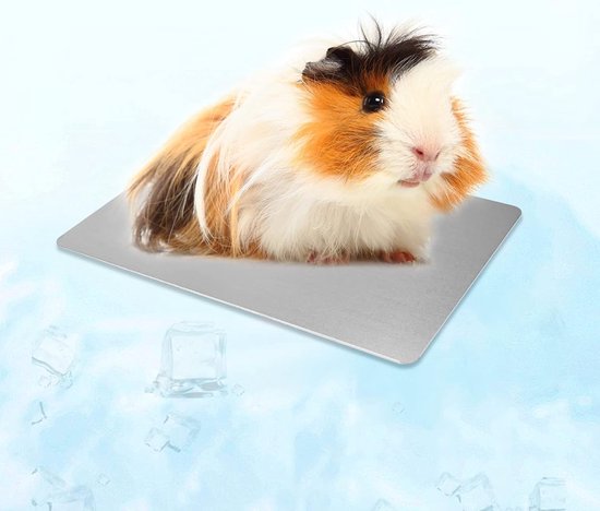 Koelmat voor Kleine Dieren - Verkoelende Slaapmat voor Hamsters, Konijnen en Cavia's - Ideaal voor Huisdieren (12 x 8 cm)