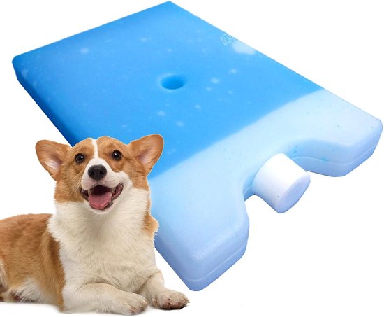 Koelpack - Herbruikbaar Ijspak - Buitenactiviteiten - Snel Invriezen - 15x10cm - Blauw