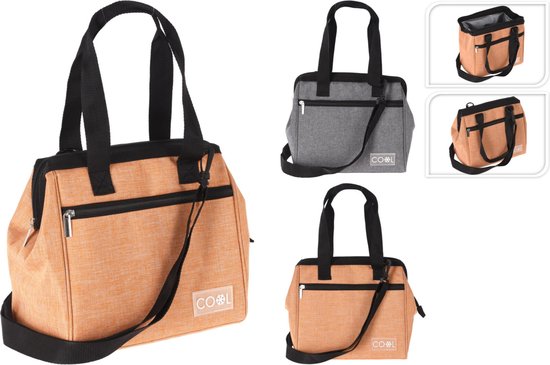 Koeltas 26x14x23cm van Cooler.