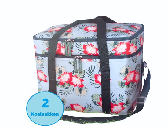 Koeltas - Picknicktas - Cool Bag - 24 Liter - 2 Koelvakken - Opvouwbaar - 38x26x31cm van Merkloos