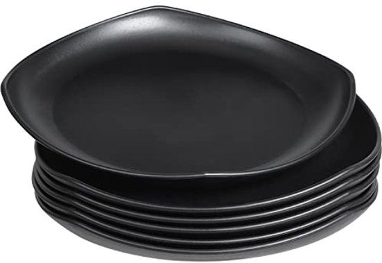 Large Plates 6 Pack 24.1 cm Dinner Plates for BBQ RV Picnic Camping Shatterproof PP Plate for Children and Adults Lightweight Plastic Plates Microwave and