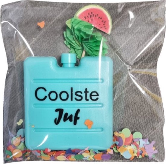 LBM coolpack/koelelement- Coolste juf - Assorti kleur van Vivavant