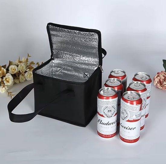 Lunch Koeltas Draagbaar - Zwart - Opvouwbaar - Picknick & Strand - Fashionable Cooler - 5 Liter - G2.1 van Merkloos