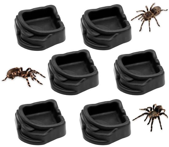Mini-bakjes van hars, set van 6, geschikt als water- en voerbakjes voor spinnen, vogelspinnen, duizendpoten en kleine reptielen. Ideale accessoires voor terraria, stevig, duurzaam en veilig.