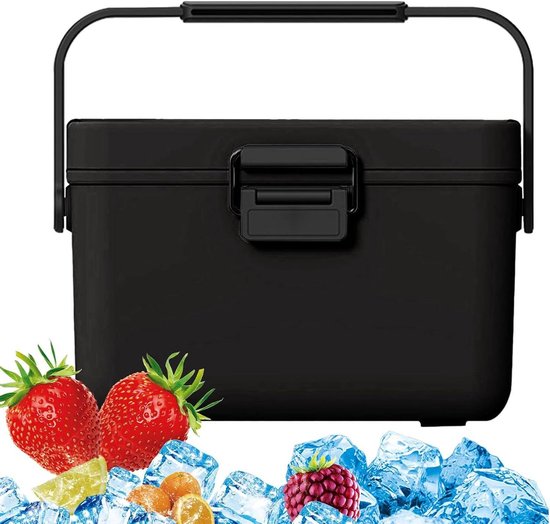Mini-koelbox - Harde koelbox Isolerende box - Buitenactiviteiten - 48 uur isolatie - 38 liter - Zwart
