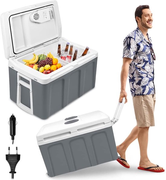 NAIZY Koelbox Auto 12V 230V Elektrisch 48L Koelbox Mini Koelkast, Thermobox Met Warmtevasthoudingsfunctie Voor Auto, Vrachtwagen, Boot En Camping van NAIZY