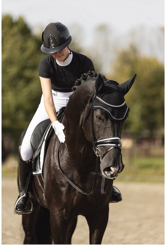 Oornetje Soundless Zwart Cob | Zwart | Vliegenmuts paard van Harry's Horse