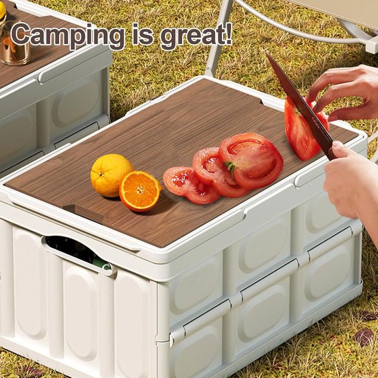 Opvouwbare Opbergbox 30L met Deksel – Kunststof Opbergdoos met Handvat – Camping, Auto & Thuis – 43,5 x 30 x 24 cm