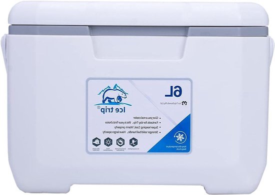 Outdoor Fridge, 6 L Cool Box with Ergonomic Handle, Cool Box, Preservation Cooling Box, Heat and Cold Insulation, for Car Boots and Outdoor Seats, Self-Propelled Travel, 30 x 19 x 20.5 cm
