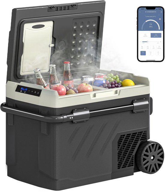 Outsunny Autokoelkast - HDPE - 69,2L x 45,3B x 45H cm - Zwart