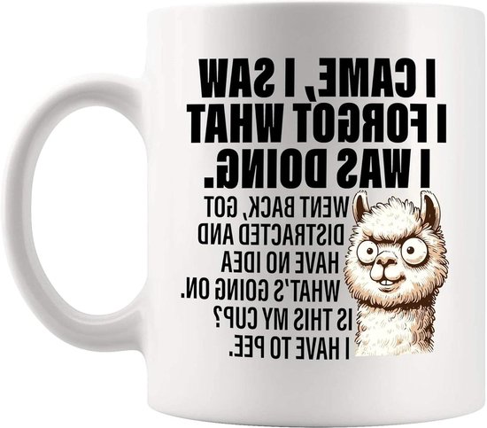 Panvola I Came I Saw I Forgot What I Was Do Oudere mensen Ouderen Geschenken Vrouwen Moeder Mannen Opa Oma 70e 80e 90e Verjaardag Senior Citizen Gifts Mensen met Dementie Keramische Mok Wit 325 ml