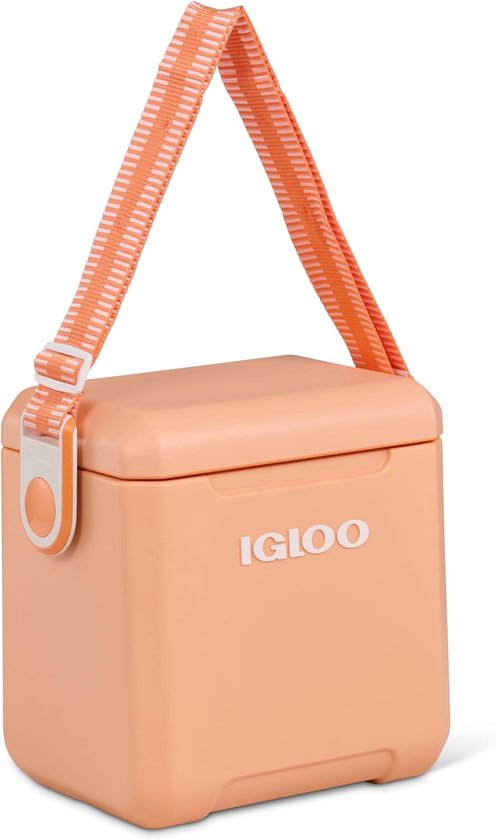 Passieve koelbox 10 liter voor uitstapjes en picnics van Merkloos