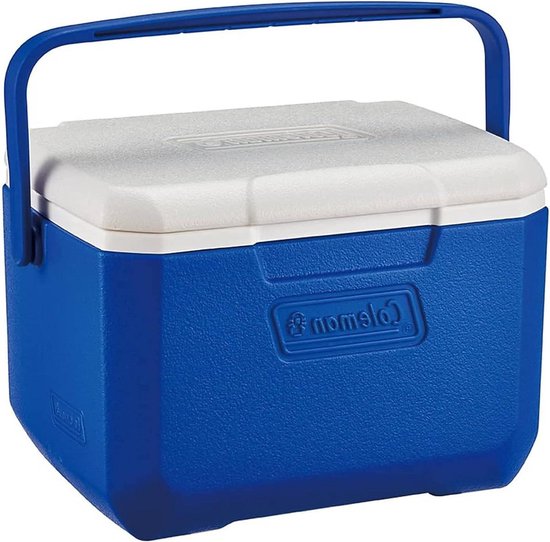 Performance 6 Personal Koelbox - Passieve kleine thermobox voor eten en dranken - IJsbox met handgreep - Koelcapaciteit tot 9 uur Cool Box Stand van Perform