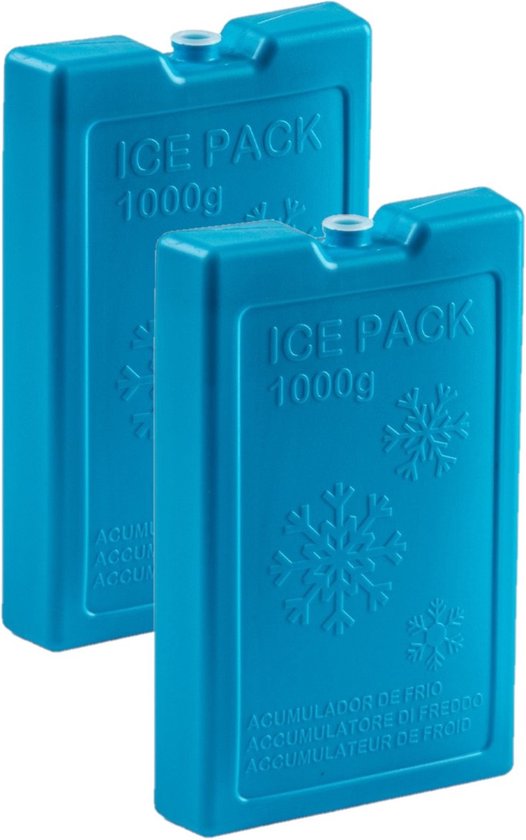 Plasticforte Koelelementen van 1000 gram - 2x stuks - blauw - 22 x 14.5 x 3.5 cm - voor koeltas en koelbox van Merkloos